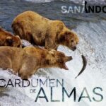 Cardumen de almas